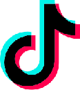 Icon of the TikTok logo.