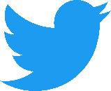 Icon of the Twitter logo.
